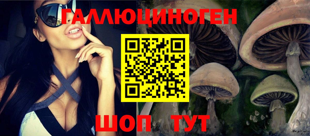 Галлюциногенные грибы GOLDEN TEACHER Железногорск