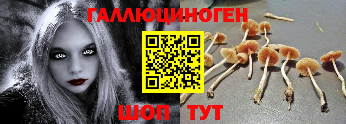 Галлюциногенные грибы ЛСД  Вход с VPN  где купить   Железногорск 